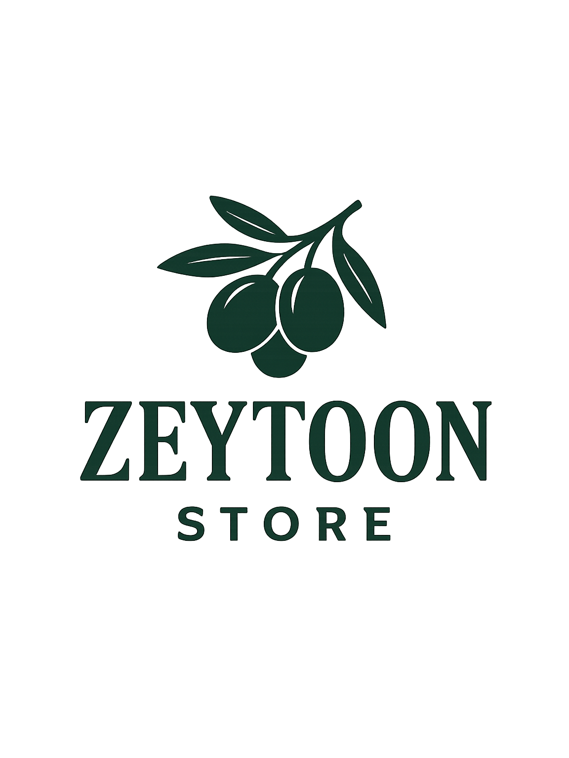 Zeytoon Store